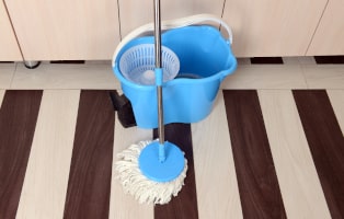 Hardwood floor and Spin mop
